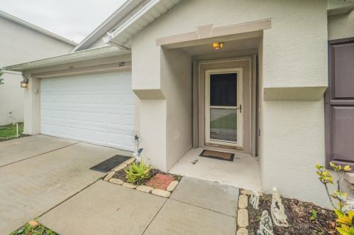 329 Willowbay Ridge St, Sanford, FL 32771-6702
