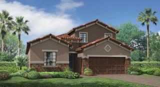 11849 Frost Aster Dr, Riverview, FL 33579-4101