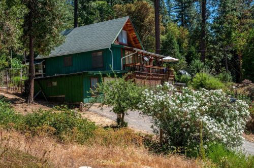 24725 Sunrise Pl, Pioneer, CA 95666-9169