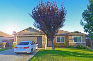 5511 White Wheat Ave, Bakersfield, CA 93313-5342