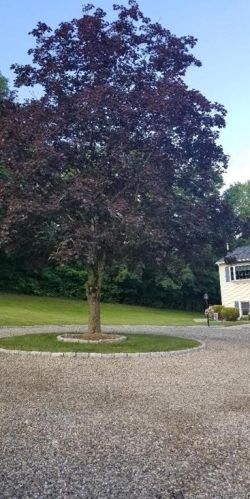 23 Honeycomb Ln, North Haven CT  06473-1005 exterior