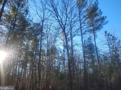 1195 Lake Forest Dr, Mineral, VA 23117-4895