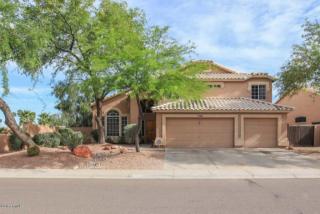 1346 Lobster Trap Dr, Gilbert, AZ 85233-7440
