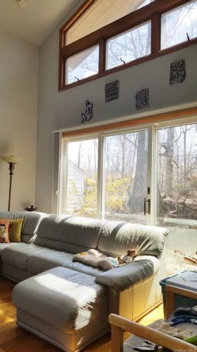 81 Highview Rd, Airmont NY  10901-4017 exterior