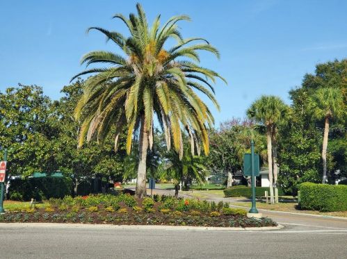 6315 Marina Dr, Orlando, FL 32819-4820