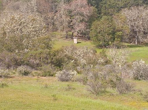 5480 Canyon Rd, Willits CA  95490-9242 exterior