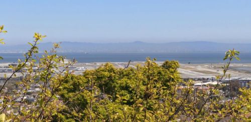 1276 Encina Dr, Millbrae CA 94030-2839 exterior