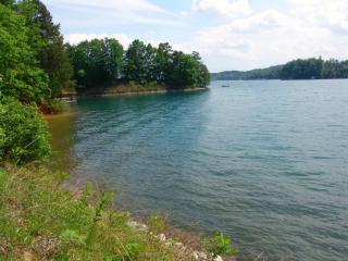 220 Deep Cove Pt, Sunset, SC 29685