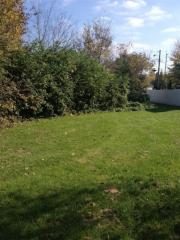 318 Perry St, Lexington, KY 40508-2477