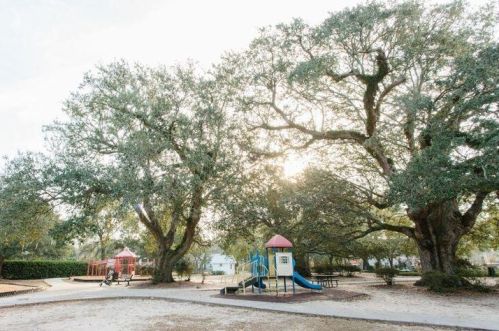 1463 Goblet Ave, Mount Pleasant SC  29464-4831 exterior