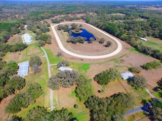10871 198th St, Micanopy, FL 32667-7608