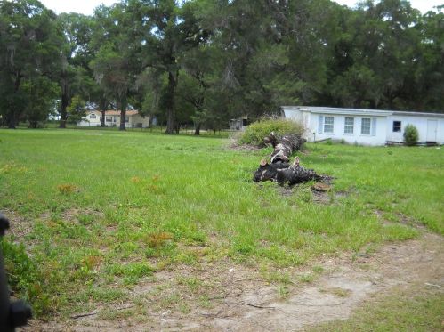 4243 100th St, Ocala, FL 34476-4195