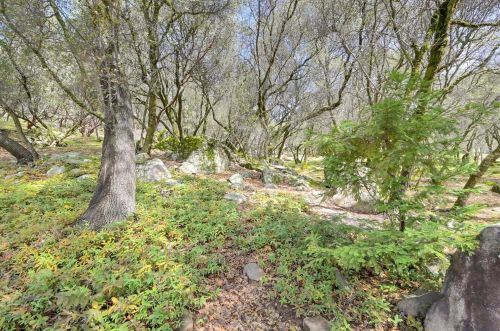 11771 Warbler Way, Lake Wildwood CA  95946-9616 exterior