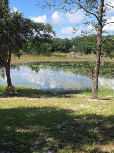 16680 63rd Ln, Ocklawaha, FL 32179-3100