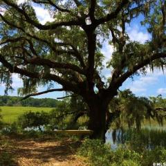 20 Marsh Oaks Ln, Seabrook, SC 29940-3145