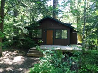111 Creek Pl, Ashford, WA 98304-9625
