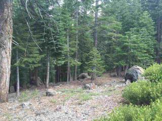 13716 Heidi Way, Truckee CA  96161-6559 exterior
