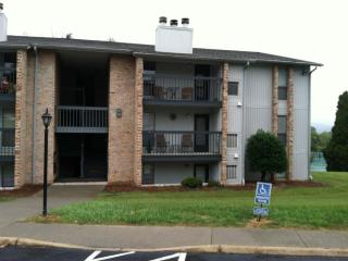 3517 Timberline Trl, Roanoke VA  24018-4516 exterior