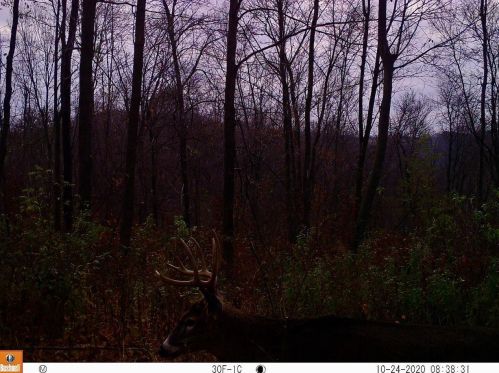 20422 County Road G, Boaz WI  53581-9002 exterior