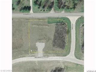 4242 Maggie Marie Blvd, Medina OH  44256-6956 exterior