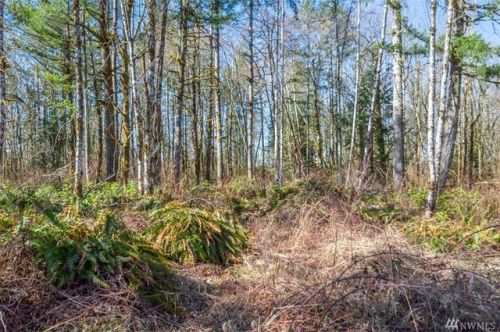 232 Palmer Rd, Napavine, WA 98532-8431