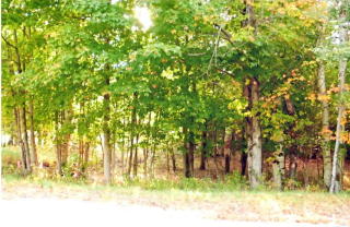 896 Fletcher Farm Rd, Onchiota, NY 12989