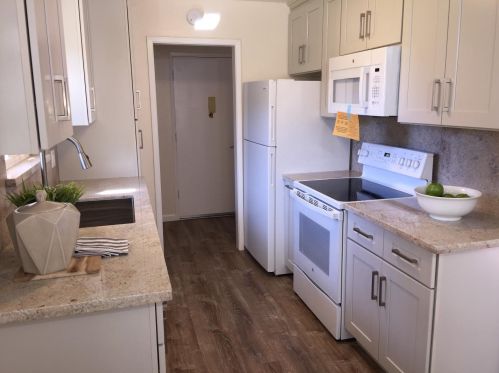 1337 Phelps Ave, San Jose, CA 95117-3638