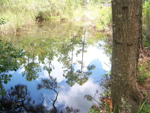 4865 Bayou Jonas Dr, Mon Louis, AL 36523-3325