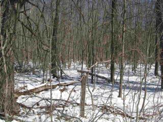 1171 Albany Post Rd, Gardiner, NY 12525-5518