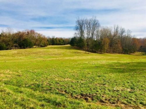 600 Cora Wilborn Rd, Summer Shade, KY 42166-8436