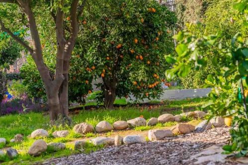 24 Center St, Redlands CA  92373-8102 exterior