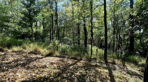 493 Birch Way, New Kensington PA  15068-5037 exterior