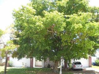 8436 Miramar Pkwy, Hollywood, FL 33025-2852