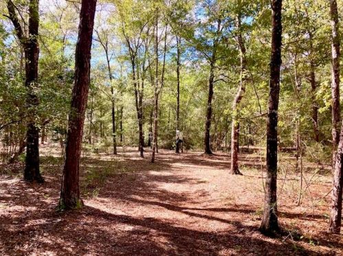 194 Creekside Ln, Defuniak Springs FL  32433-4906 exterior