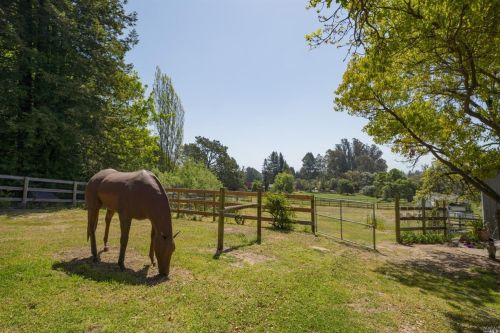 6499 Lone Pine Rd, Sebastopol CA  95472-5622 exterior