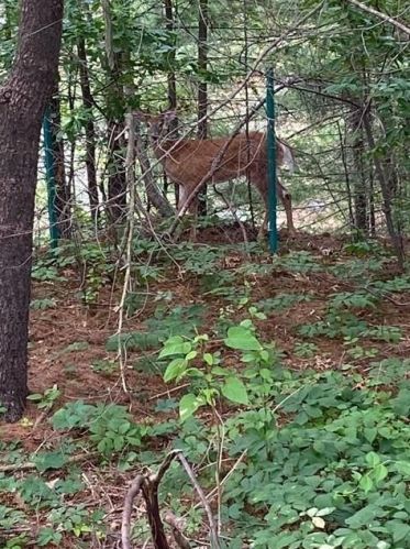 2 Ridge Ave, Coventry RI  02816-5922 exterior