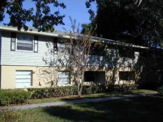235 Thorn Tree Pl, Brandon, FL 33510-4360