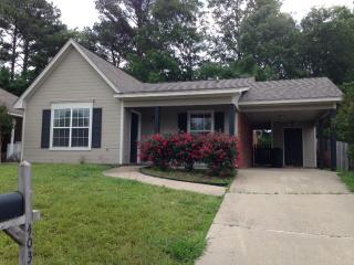 403 Audubon Cir, Brandon MS  39047-7781 exterior