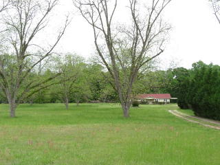 5245 Highway 431, Pittsview, AL 36871-2613