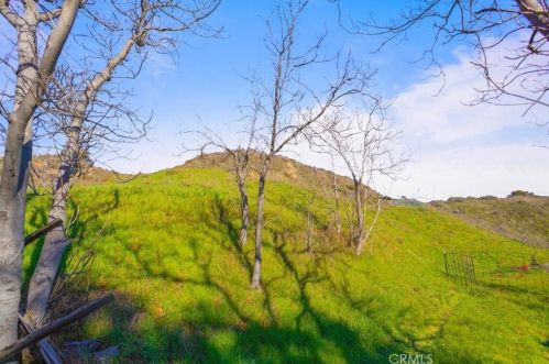 30009 Hunstock St, Santa Clarita CA  91384-2456 exterior