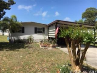 117 Alice St, Edgewater, FL 32141-5101