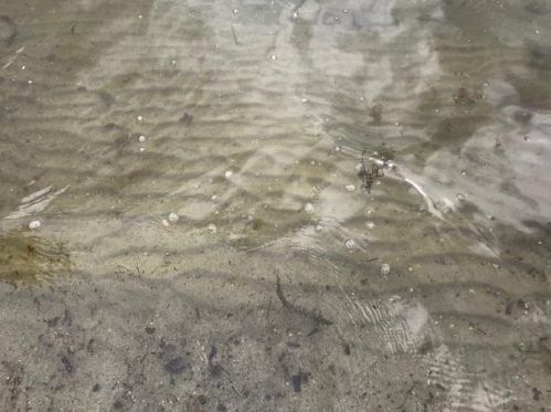 7912 Lawnys Cir, Alex MN  56308-9404 exterior