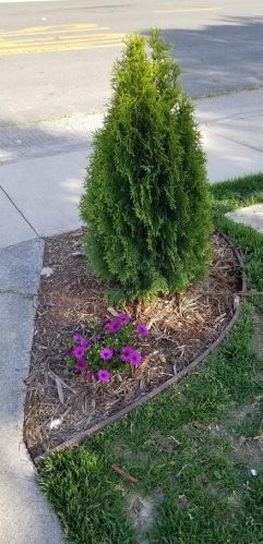 6577 Melrose Dr, North Highlands CA  95660-4378 exterior