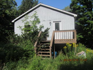 346 Bear Gulch Rd, Summit, NY 12175-2707