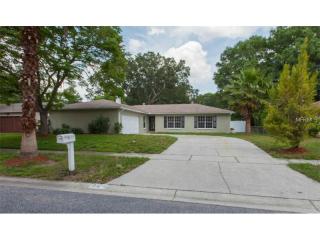 904 Tangelo St, Brandon, FL 33510-3035