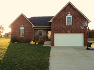 320 Arabian Ln, Springfield TN  37172-7329 exterior