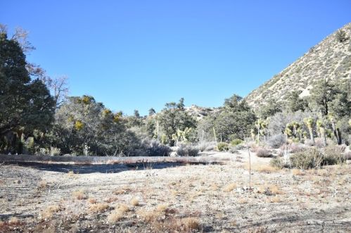 1510 Desert Front Rd, Wrightwood CA  92397-9785 exterior