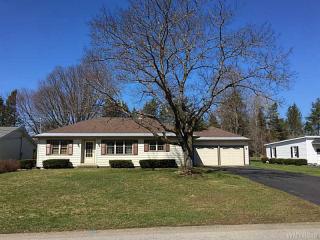 69 Ellis Ave, Springville, NY 14141-9727