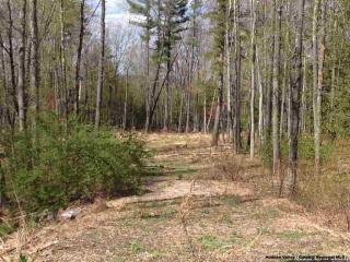 15 Tardon Rd, Leibhardt NY  12404-5446 exterior