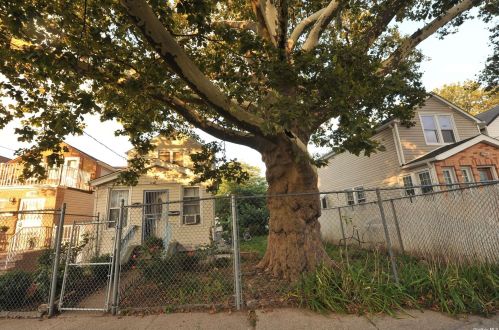 117-17 142nd Pl, Jamaica, NY 11436-1232